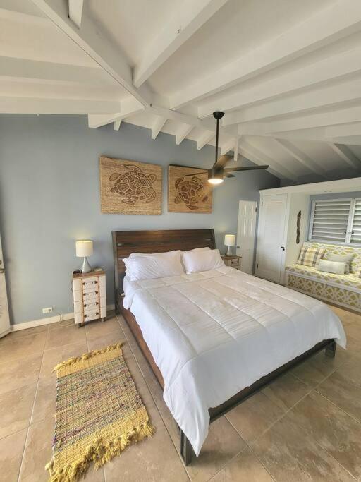 Caribbean Splendor With Million Dollar Views Vila Christiansted Exterior foto